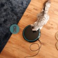 Gadget Man Ireland - Pet Food Dispeser - Cecotec Pumba 1600