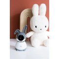 Gadget Man Ireland - Alecto A004555  SMARTBABY10 Wi-fi Baby Monitor with Camera - White/Grey
