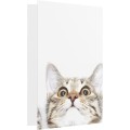Gadget Man Ireland - Xiaomi Mi Portable Photo Printer Paper