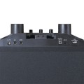 Gadget Man Ireland - LENCO PA-220BK P.A.with Subwoofer & Detachable Tweeter