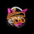 Gadget Man Ireland - Neon Art LED Cat Dreamer