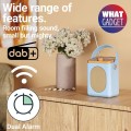 Gadget Man Ireland - MAJORITY Little Shelford Radio Blue
