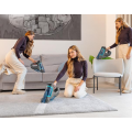 Gadget Man Ireland - CECOTEC Conga Hand Carpet & Spot Cleaner 2500