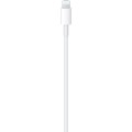 Gadget Man Ireland - Apple USB-C to Lightning Cable – 1m, Fast Charging and Sync