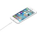 Gadget Man Ireland - Official Genuine Apple Lightning Charging Cable