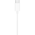 Gadget Man Ireland - Apple EarPods USB-C