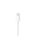 Apple EarPods with Lightning Connector - Gadget Man Ireland