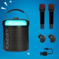 IBIZA KARAHOME 120W Karaoke Speaker with 2 Mics - Gadget Man Ireland