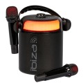IBIZA KARAHOME 120W Karaoke Speaker with 2 Mics - Gadget Man Ireland