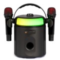 IBIZA KARAHOME 120W Karaoke Speaker with 2 Mics - Gadget Man Ireland