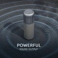 HiFuture Wedge Home Art Speaker 40W – Silver