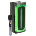 Ibiza 200W LED Bluetooth Speaker with Wireless Mic & TWS – Gadget Man Ireland