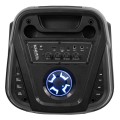 Ibiza COLUMBA Karaoke Speaker with Wireless Mics – Gadget Man Ireland