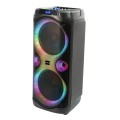 Ibiza COLUMBA Karaoke Speaker with Wireless Mics – Gadget Man Ireland