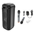 HOCO HA13 Pro Bluetooth Speaker with 2 Wireless Microphones – Gadget Man Ireland