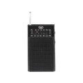 TREVI Mini Portable 3-Band FM Radio - Gadget Man Ireland