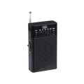 TREVI Mini Portable 3-Band FM Radio - Gadget Man Ireland
