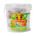 Gadget Man Ireland - Capybara Mochi Tub 12pc