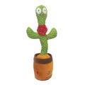 Dancing Cactus Toy with Music & 60s Voice Recording - Gadget Man Ireland
