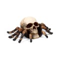 Skull with Spider Legs Gothic Decoration | Gadget Man Ireland