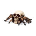 Skull with Spider Legs Gothic Decoration | Gadget Man Ireland