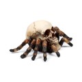 Skull with Spider Legs Gothic Decoration | Gadget Man Ireland