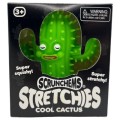 Scrunchems Stretchies Cool Cactus Toy | Gadget Man Ireland
