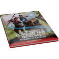D&D Forgotten Realms Heroes of Faerûn Expansion | Gadget Man Ireland