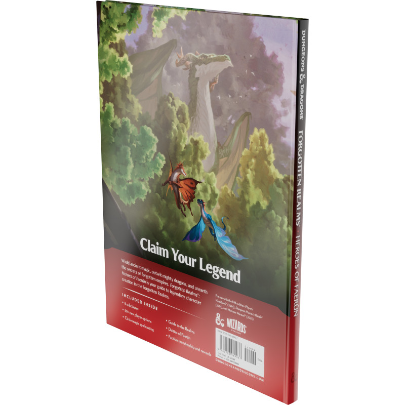 D&D Forgotten Realms Heroes of Faerûn Expansion | Gadget Man Ireland
