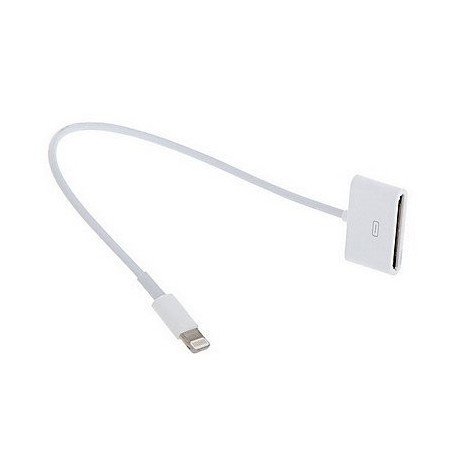 Lightning to 30pin Converter