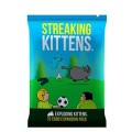 Streaking Kittens