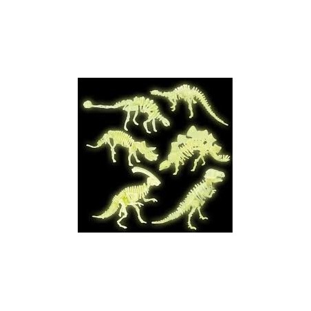 Dino Bones