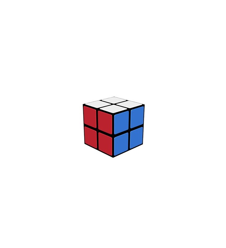 2x2x2 Mini Rubik's Cube
