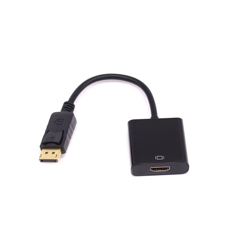 Display Port to HDMI Converter Cable