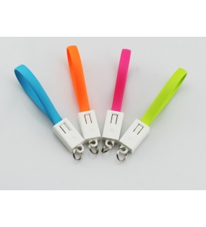 Samsung Micro USB Juice Bank Keychain Portable Charging Cable