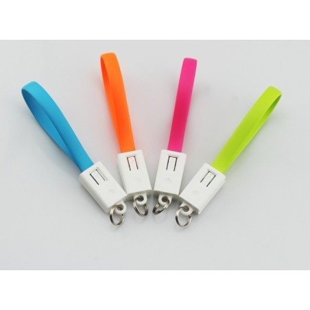 Samsung Micro USB Juice Bank Keychain Portable Charging Cable
