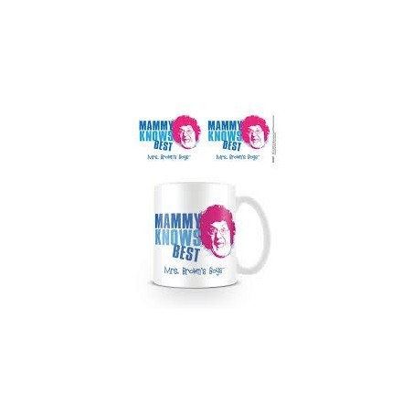 Mrs Browns Boys (Mammy Knows Best)