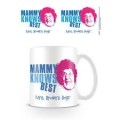 Mrs Browns Boys (Mammy Knows Best)