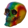 Gadget Man Ireland - Rainbow Skull