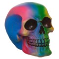 Gadget Man Ireland - Rainbow Skull