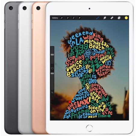 Gadget Man Ireland -  Apple iPad Mini (2019) 64GB 4G Refurbished