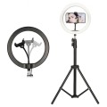 Gadget Man - Ksix Studio Live Max LED Ring Light with Phone Holder