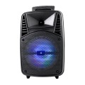Gadget Man Ireland-Omega Speaker OG84 20W + 3W Tweeter Karaoke Mic FM Bluetooth (black)