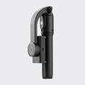 Gadget Man Ireland - RED5 Vlogging stick Gimbal