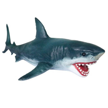 Gadget Man Ireland - Shark