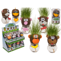 Gadget Man Ireland - Grassheads - Animal Grassheads - Novelty - Gifts