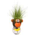 Gadget Man Ireland - Grassheads - Animal Grassheads - Novelty - Gifts