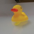 Gadget Man Ireland - Duck with a Dick - Novelty Gifts