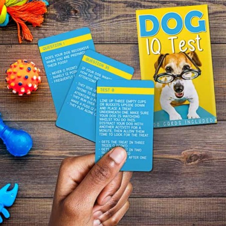 Gadget Man Ireland - Dog IQ Test