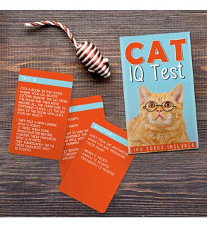 Cat IQ Test